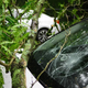 Schedule Your Auto Glass Replacement | Safelite AutoGlass®